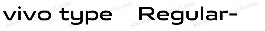 vivo type 简 Regular字体转换